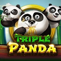 Triple Panda icon